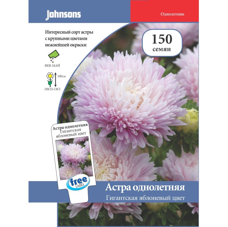 Купить Астра однолетняя Гигантская яблоневый цвет - Семена в интернет ...
