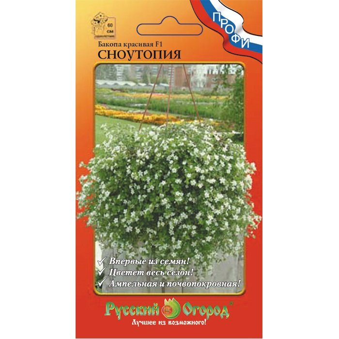 семена бакопы ампельной купить