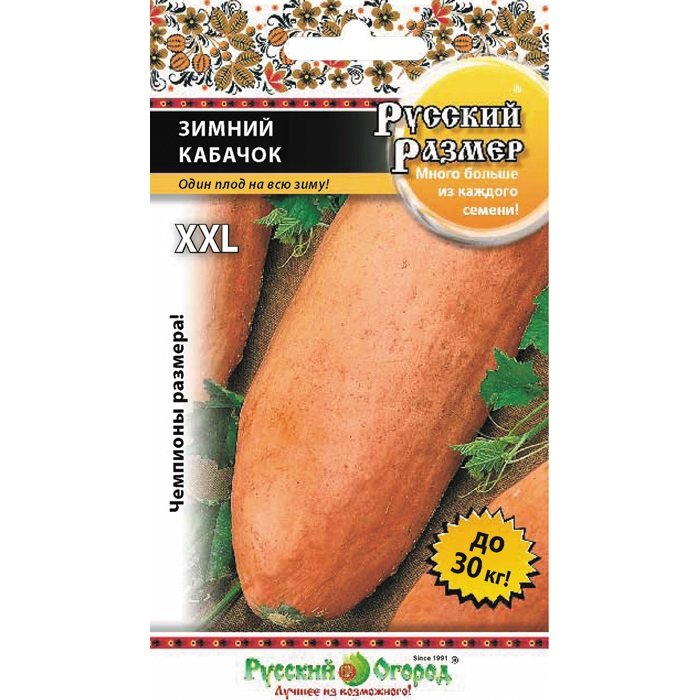 Кабачок русский размер