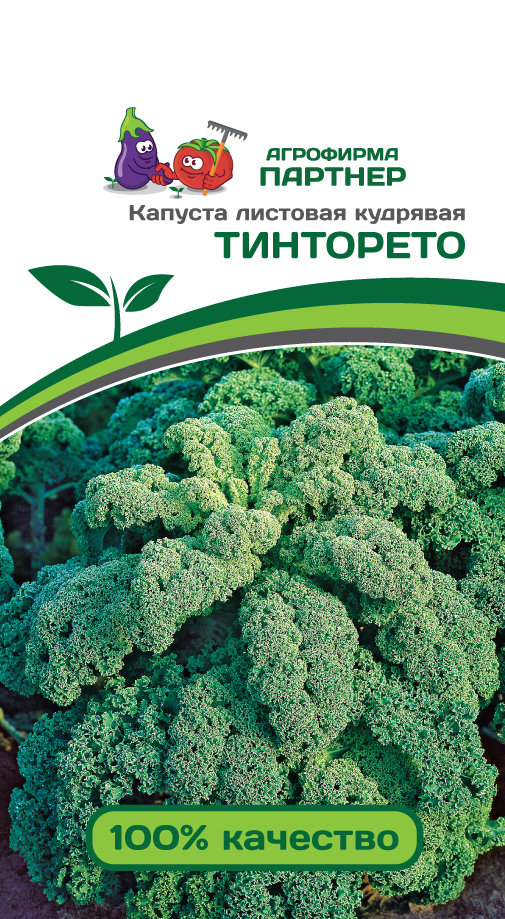 Капуста Листовая Кале Купить Семена