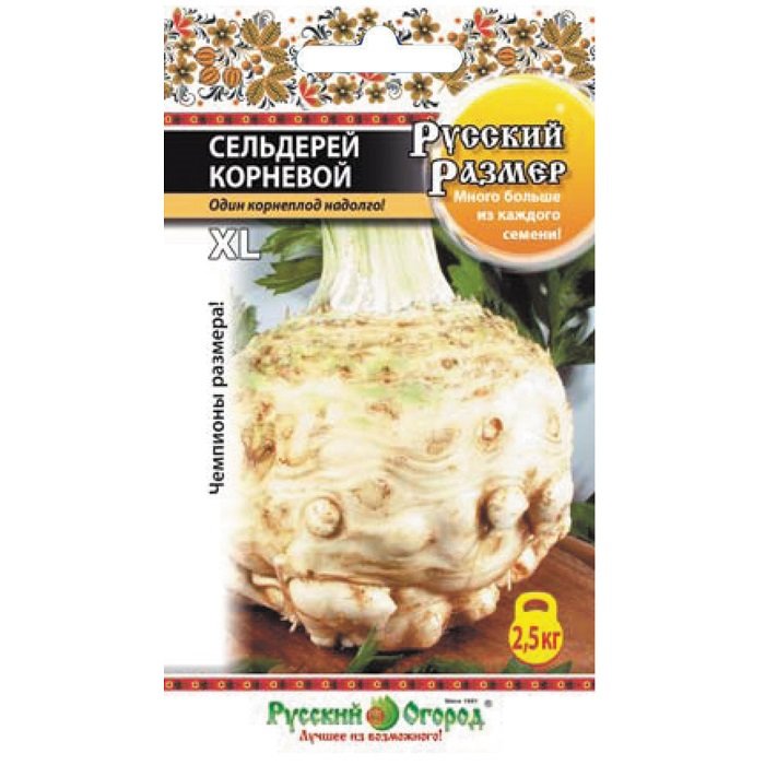 Купить Сельдерей корневой Русский размер - Семена в интернет магазине ...