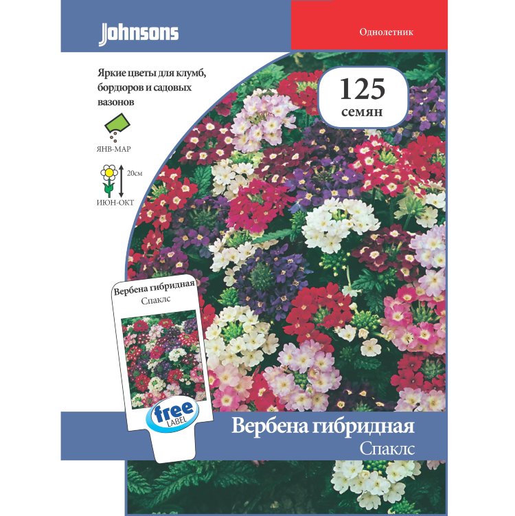 Купить Вербена гибридная Спаклс - Семена в интернет магазине RassadaCity.ru