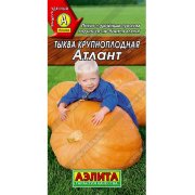Тыква крупноплодная Атлант