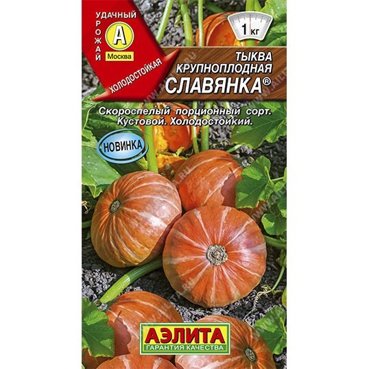 Купить Тыква крупноплодная Славянка - Семена в интернет магазине ...