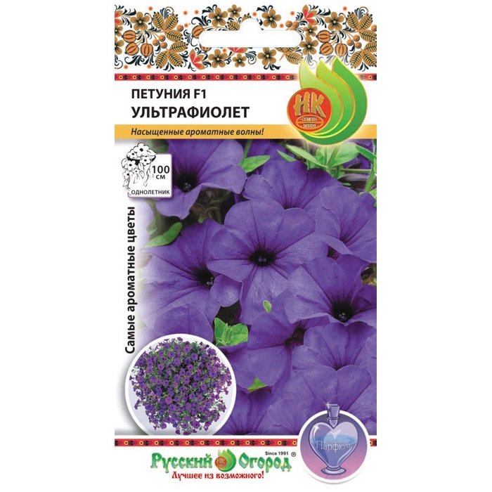 семена петунии ампельной купить