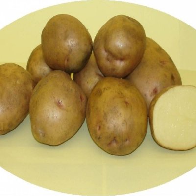 Картофель Метеор, 2 кг