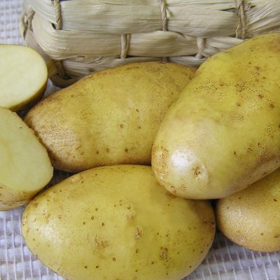 Картофель Юбилей Жукова, 2 кг