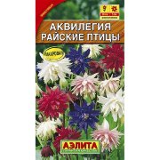 Аквилегия Райские птицы, смесь окрасок