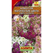 Алиссум Магические цвета, смесь окрасок