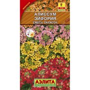 Алиссум Эйфория, смесь окрасок