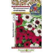 Лен крупноцветковый Очарование, смесь