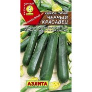 Кабачок цуккини Черный красавец