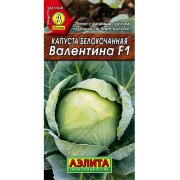 Капуста б/к Валентина F1