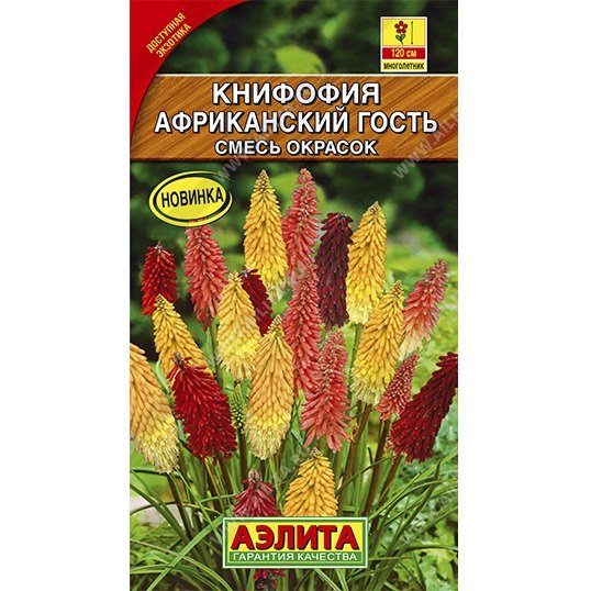 Купить Книфофия Африканский гость - Семена в интернет магазине ...