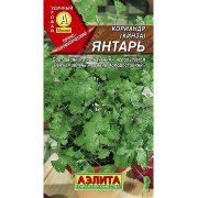 Кориандр Янтарь