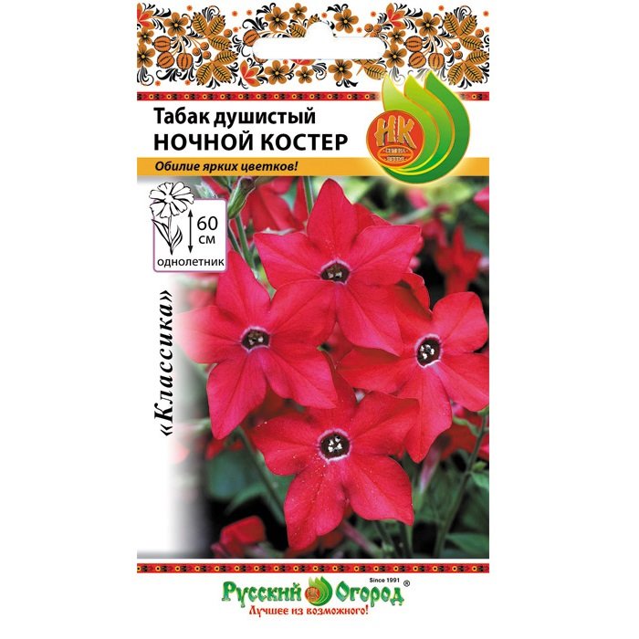 Купить Табак душистый Ночной костер - Семена в интернет магазине ...