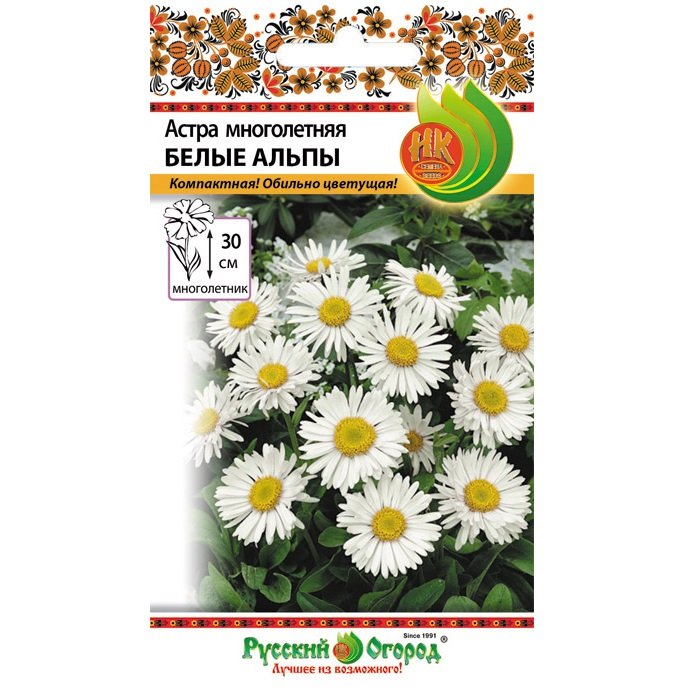 Купить Астра многолетняя альпийская Белые Альпы - Семена в интернет ...