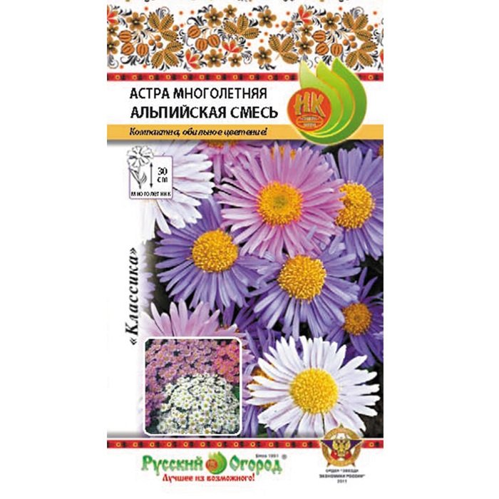 Купить Астра многолетняя Альпийская - Семена в интернет магазине ...